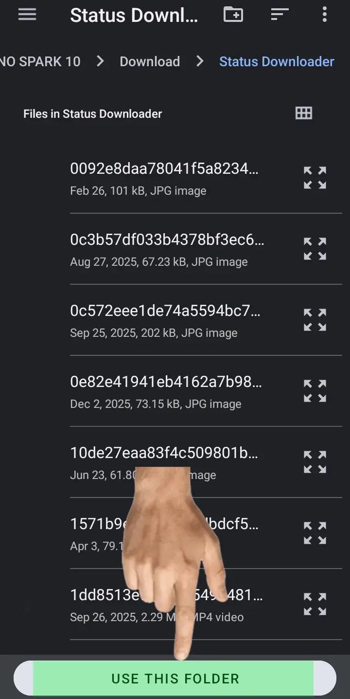 Status Downloader V10